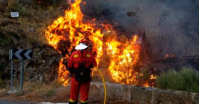 Francia| Nuevos focos de incendios forestales, preocupa la sequía en el sector agrícola
